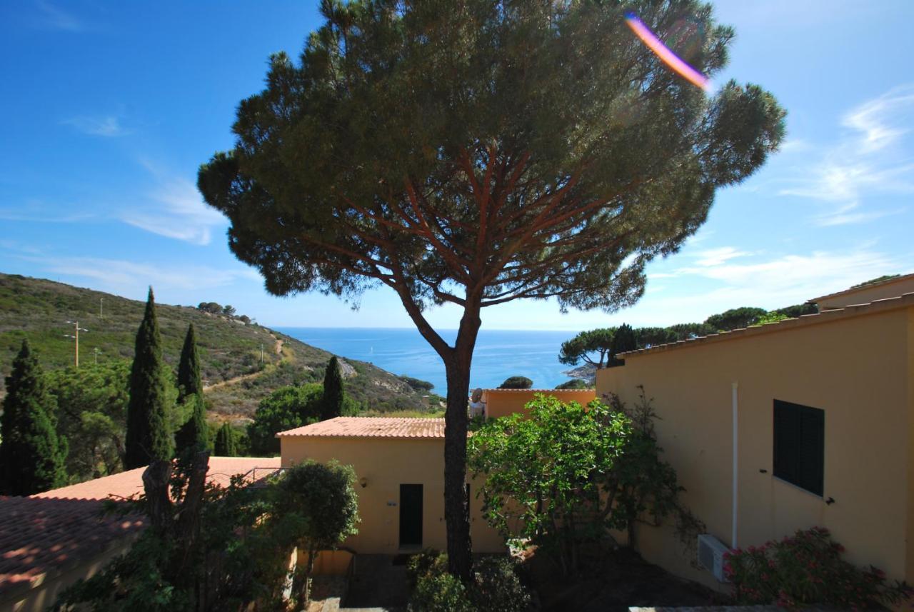 Grotta Azzurra Apartment - Cavoli - Terrazza Vista Mare, Clima E Parcheggio San Piero in Campo  Zewnętrze zdjęcie